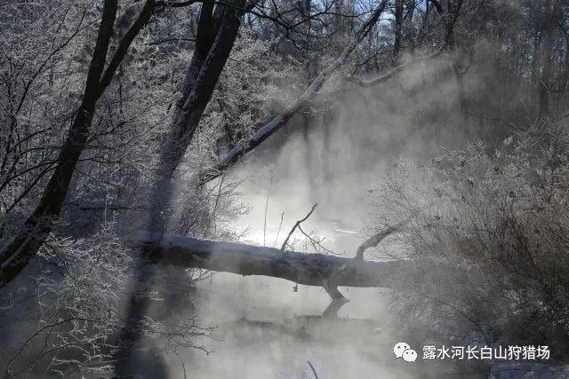 学生时代的哪些瞬间让你觉得「年轻真好」?-最新热门话题讨论平台