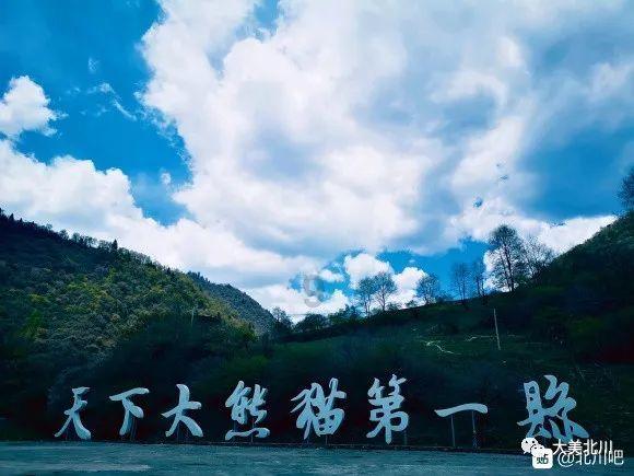 武斗纹章2初篇